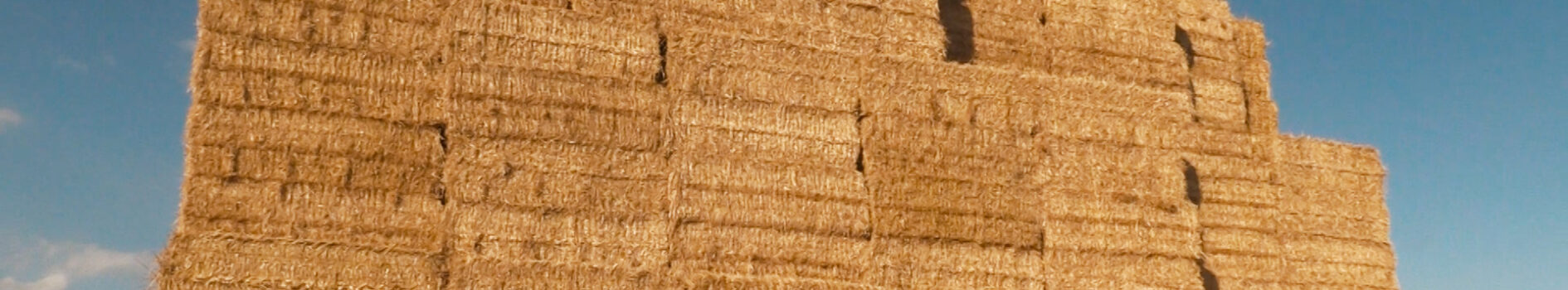 16 JANVIER • « BEAU COMME UN TRACTEUR », « WOLOBOUGOU » ET « LA STATION »A PERIGNAT-SUR-ALLIER