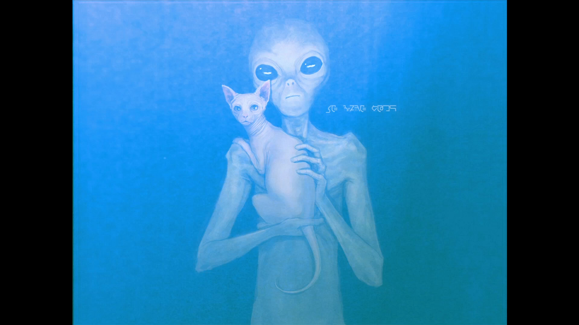 LA VERITABLE IDENTITE DES CHATS - William Laboury avec les élèves de 2nde