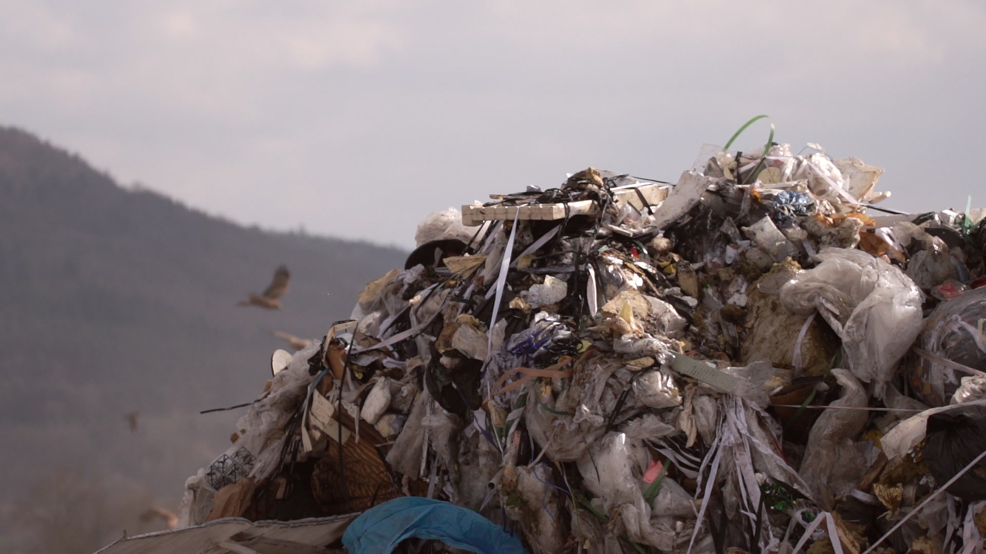 L_AUTRE MONTAGNE – Delphine Collin L_AUTRE MONTAGNE - Delphine Collin