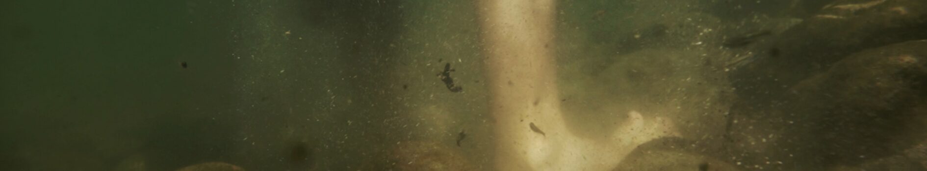 15 MAI • « MÉANDRES OU LA RIVIERE INVENTÉE » À LA SALLE GEORGES CONCHON