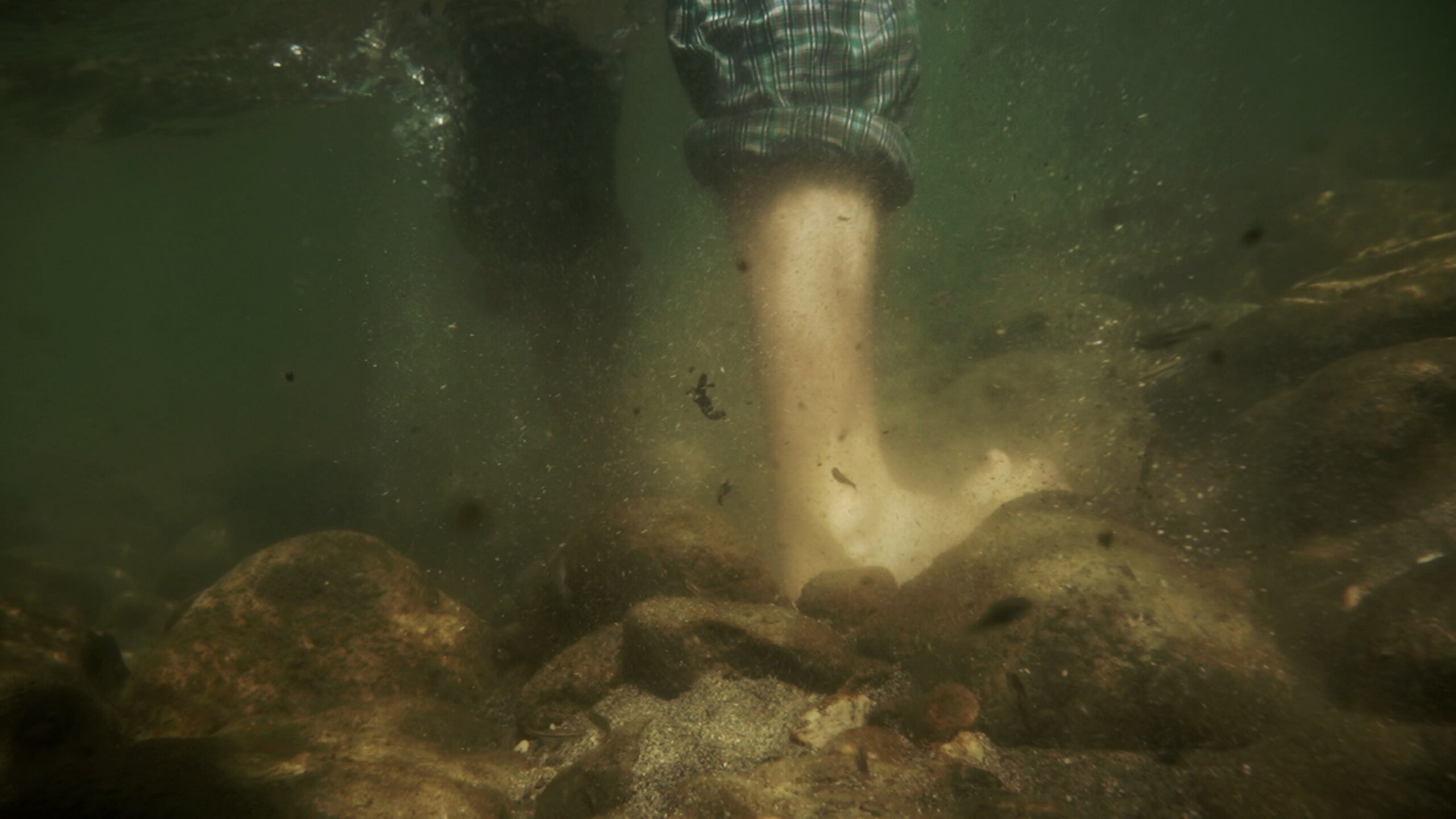 MEANDRES OU LA RIVIERE INVENTEE – M.Lusson, E.De Bortoli MEANDRES OU LA RIVIERE INVENTEE - M.Lusson, E.De Bortoli