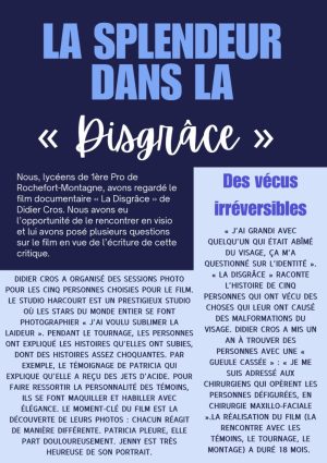 Critique de "La Disgrâce" de Didier Cros - Lycée agricole de Rochefort-Montagne